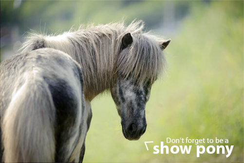 pony-1